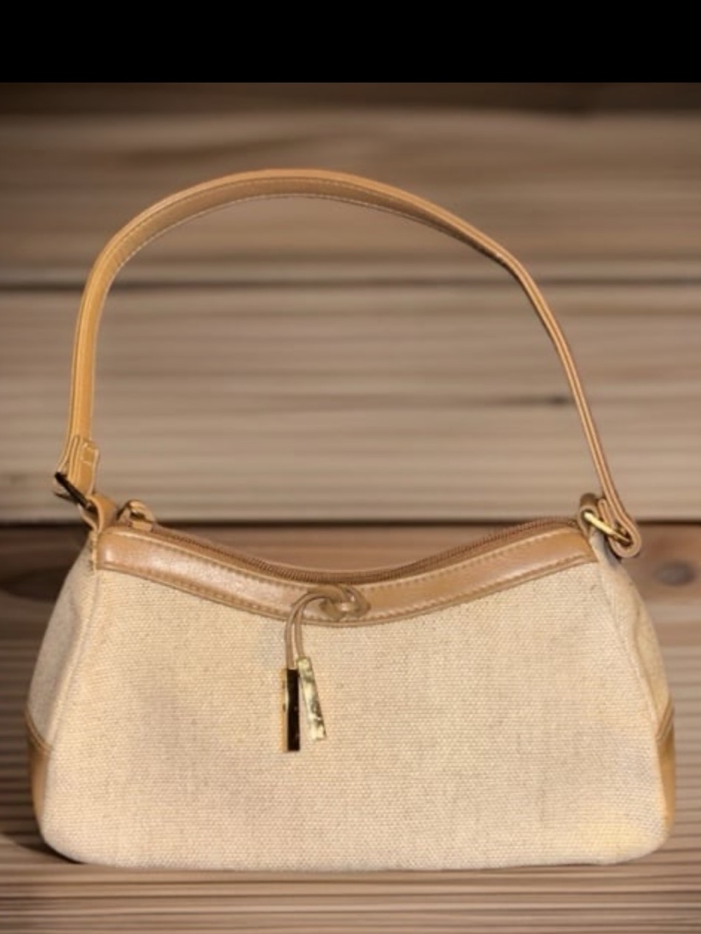 Etienne Aigner Beige Canvas & Tan Leather Mini Shoulder Bag